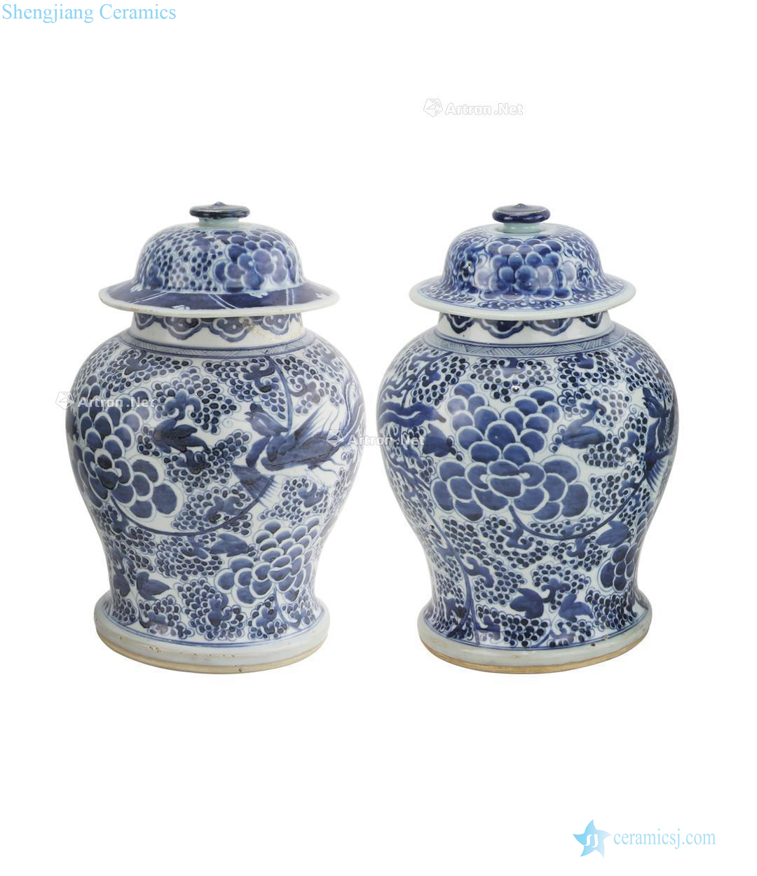 kangxi Blue and white chicken wear peony grains general tank