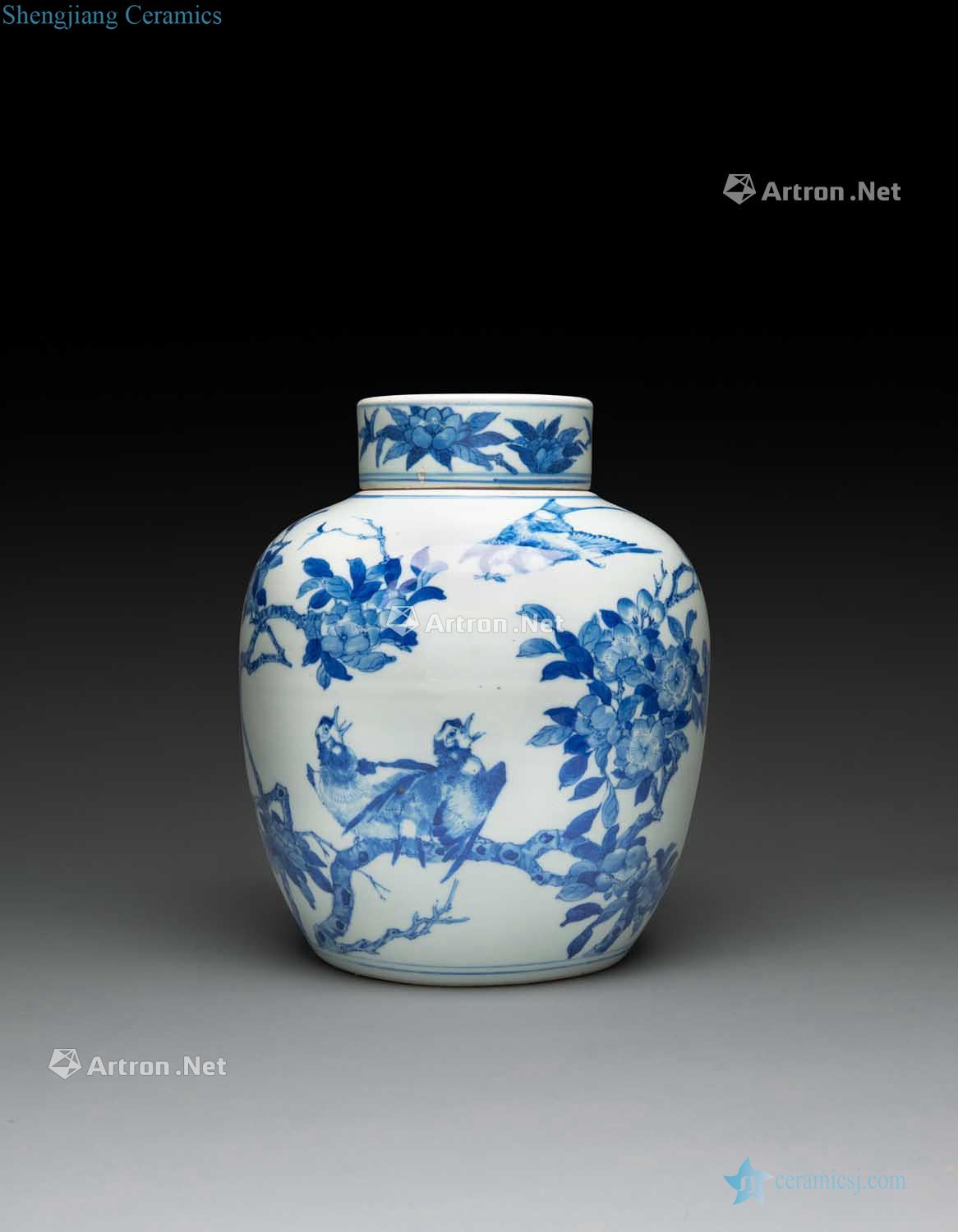 Kangxi porcelain cover tank