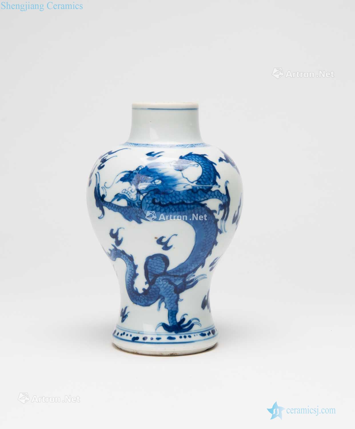 The qing emperor kangxi Blue and white plum bottle in extremely good fortune