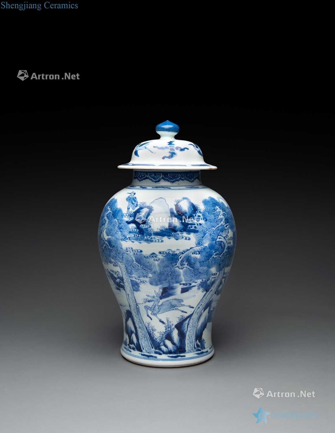 The qing emperor kangxi porcelain cover tank