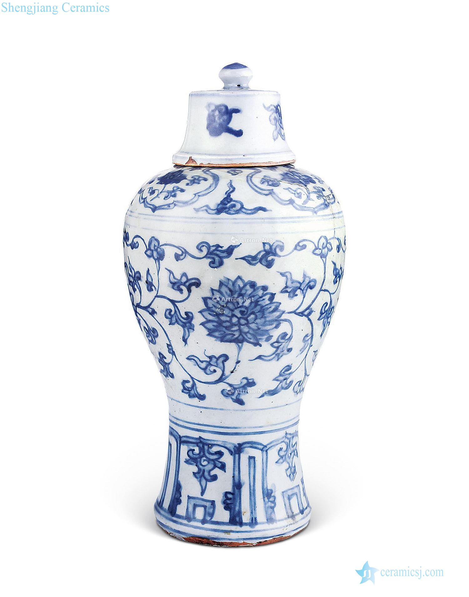Ming jiajing Blue and white branch flowers cover half plum bottle