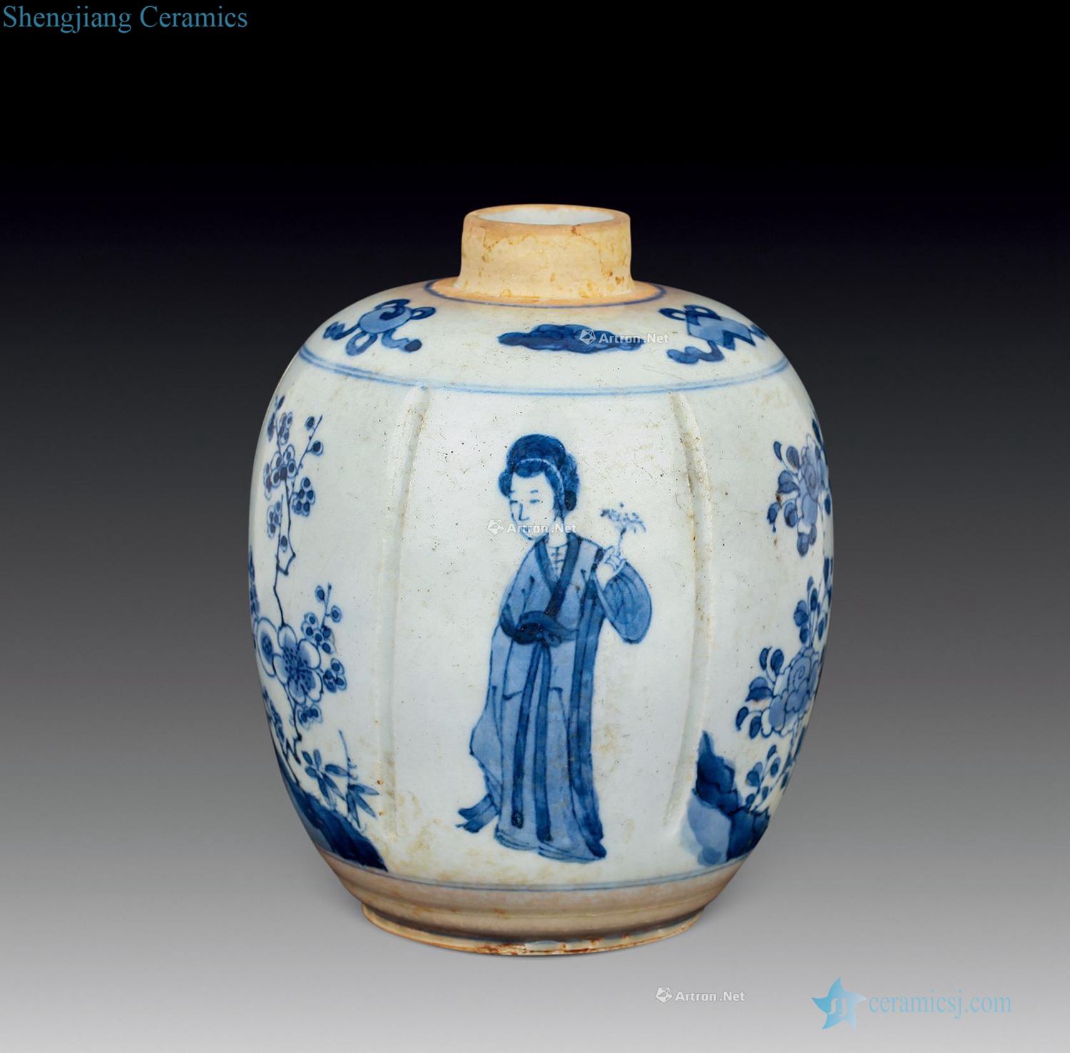 Qing dynasty Blue and white medallion ladies flower grain melon leng cans