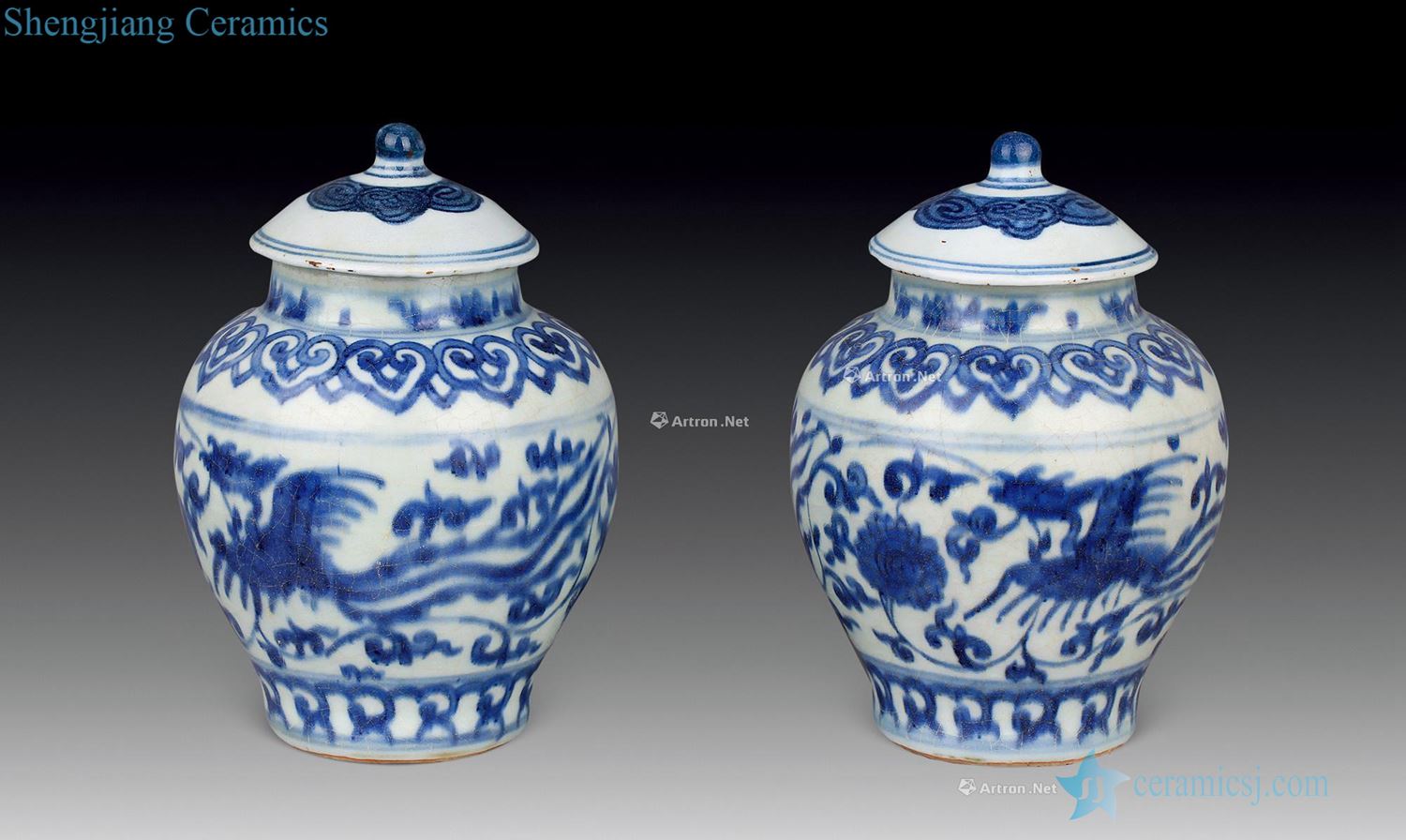 Ming wanli Blue and white grain cover tank (a)