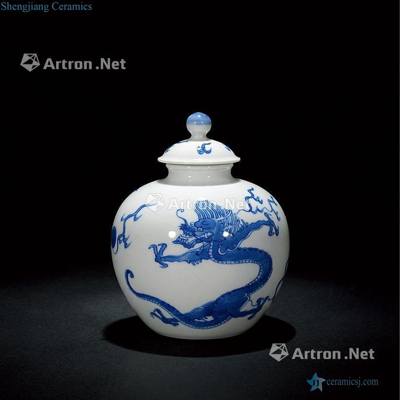 The qing emperor kangxi Blue and white dragon tank