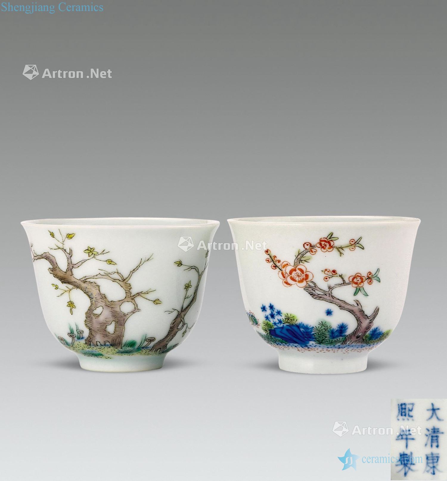 Kangxi wucai flora cup (a)