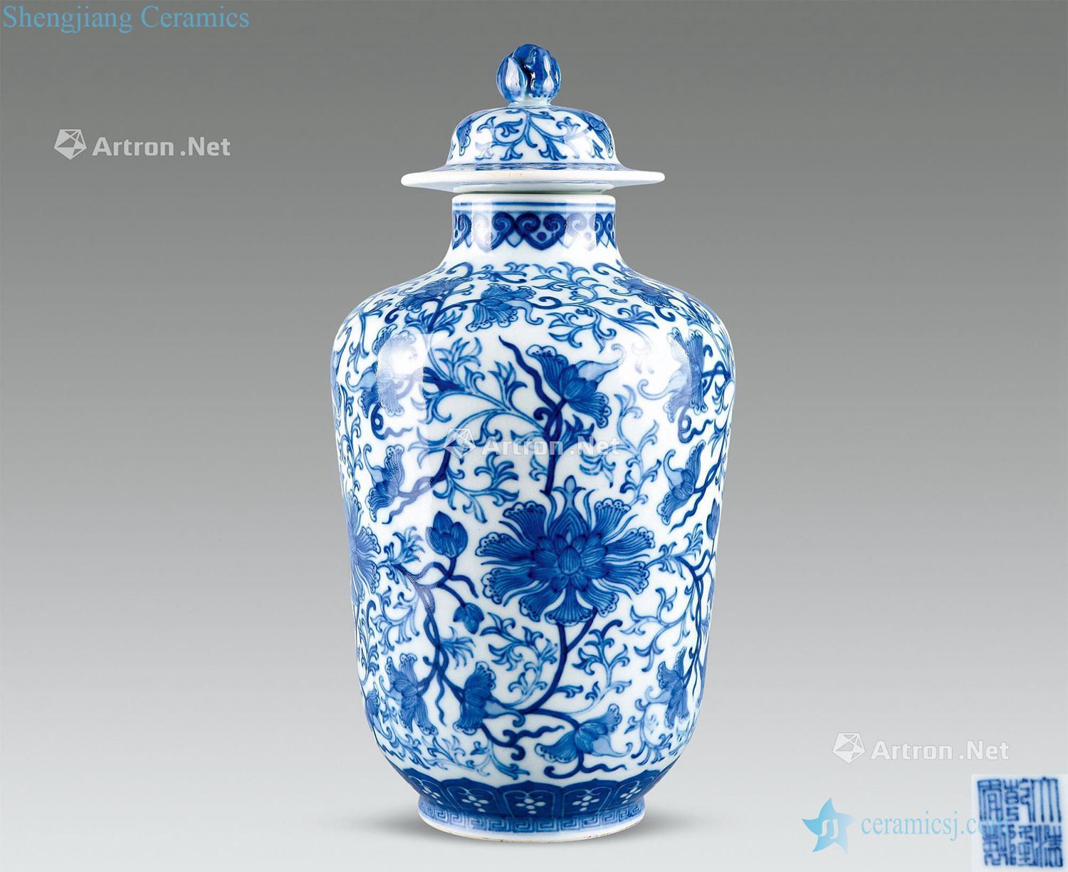 Emperor qianlong Blue and white flowers around branches cover bottle