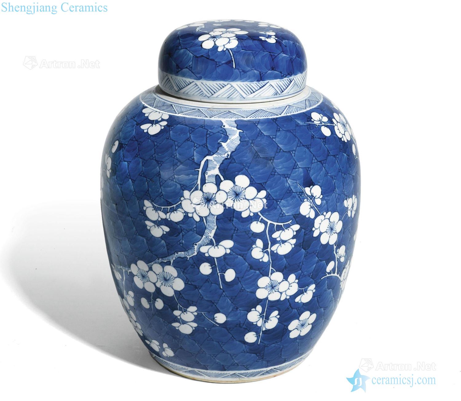 Qing dynasty in the 19th century Blue and white plum lines cover tank