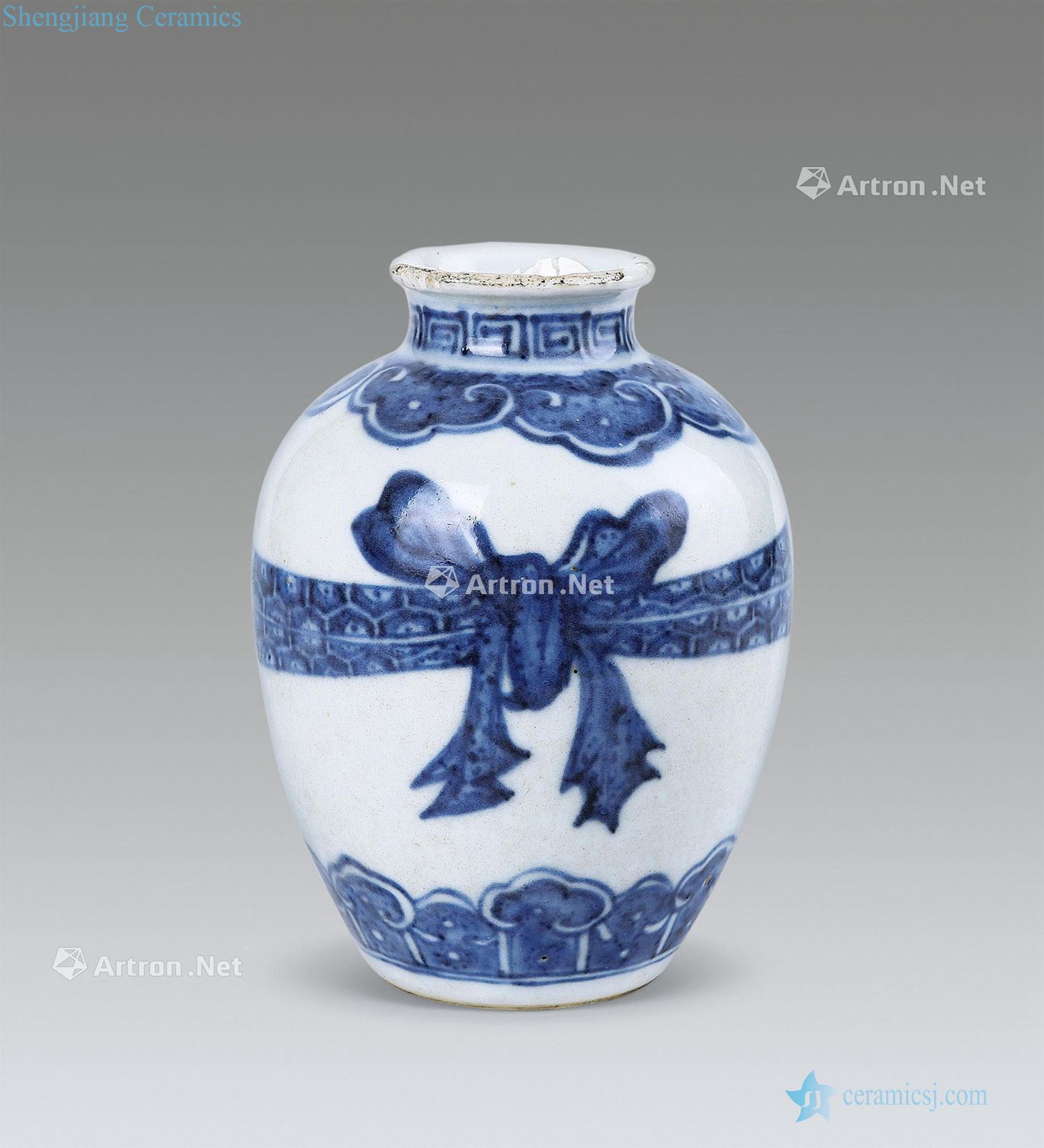 Ming Blue and white best bottles
