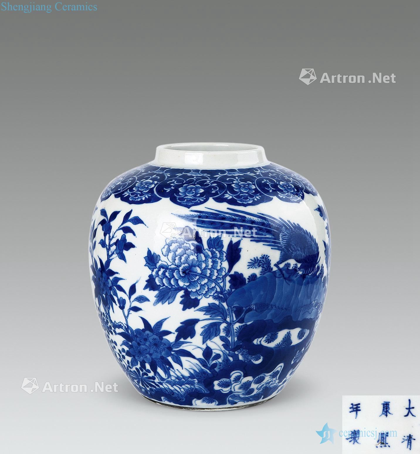 kangxi Blue and white flower on grain white cans