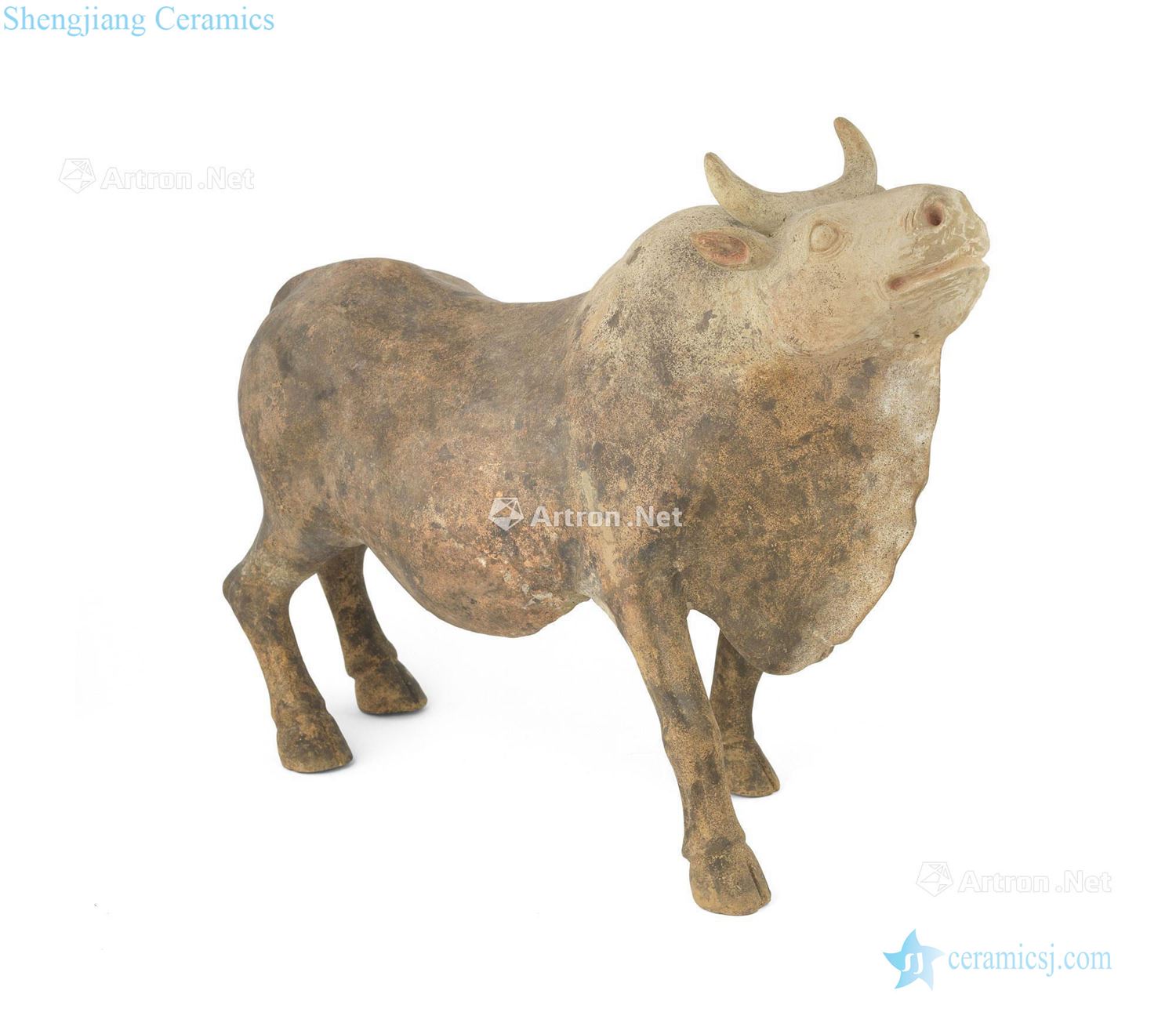Tang pottery figurines of buffalo