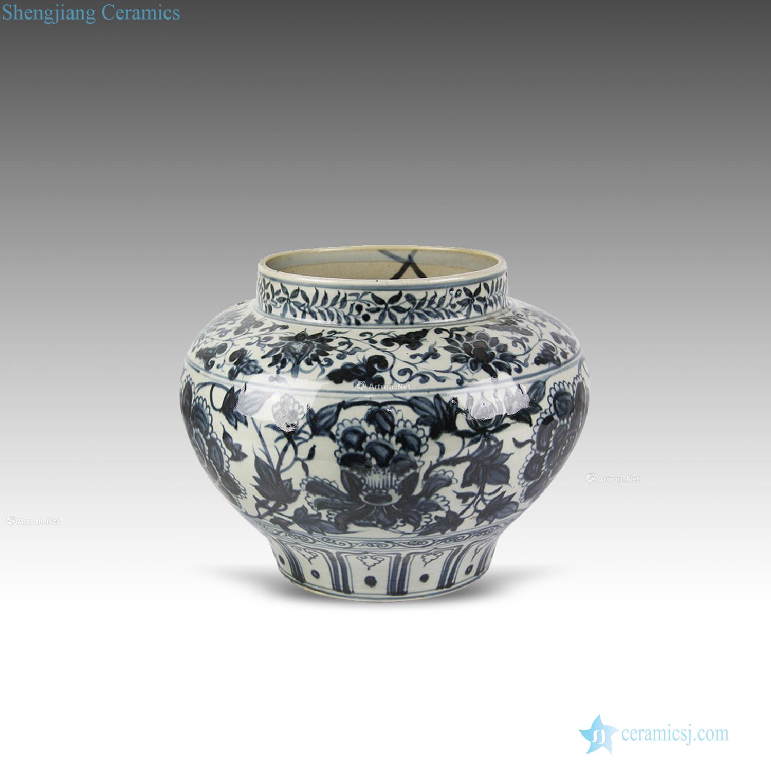 yuan Blue and white big pot