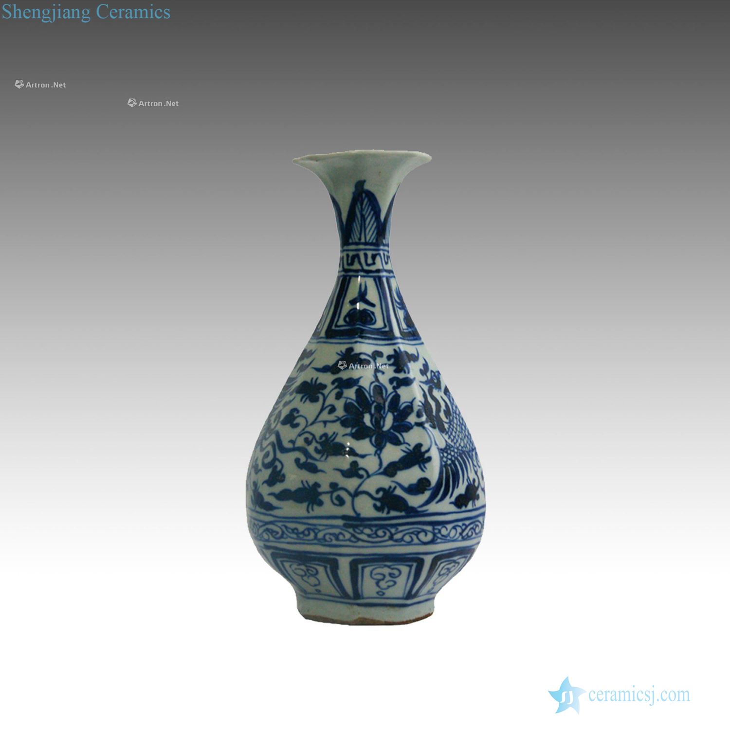 yuan Blue and white fengxiang branch lines okho spring bottle