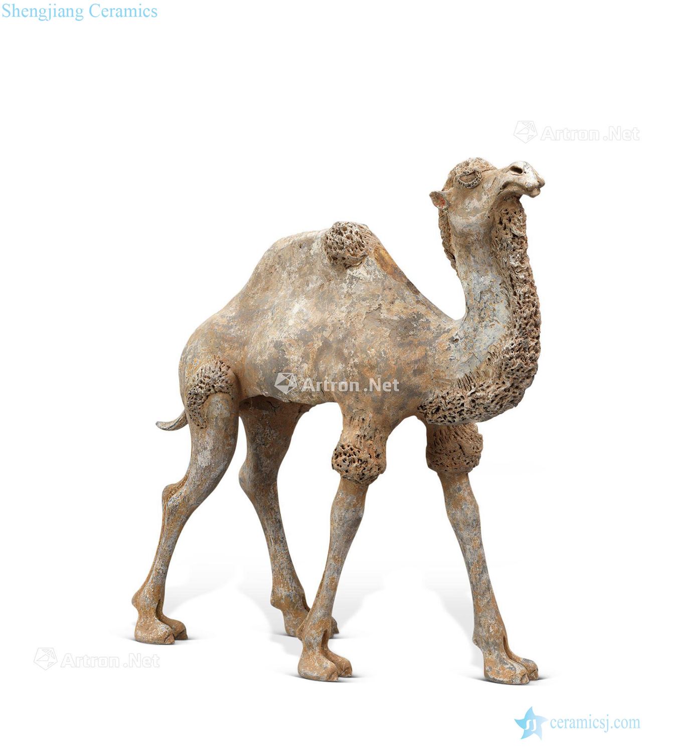 Tang dynasty pottery with camels