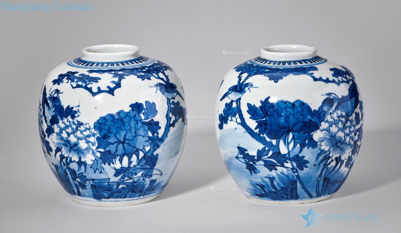 In late qing dynasty Blue and white flower grain caddy (a)