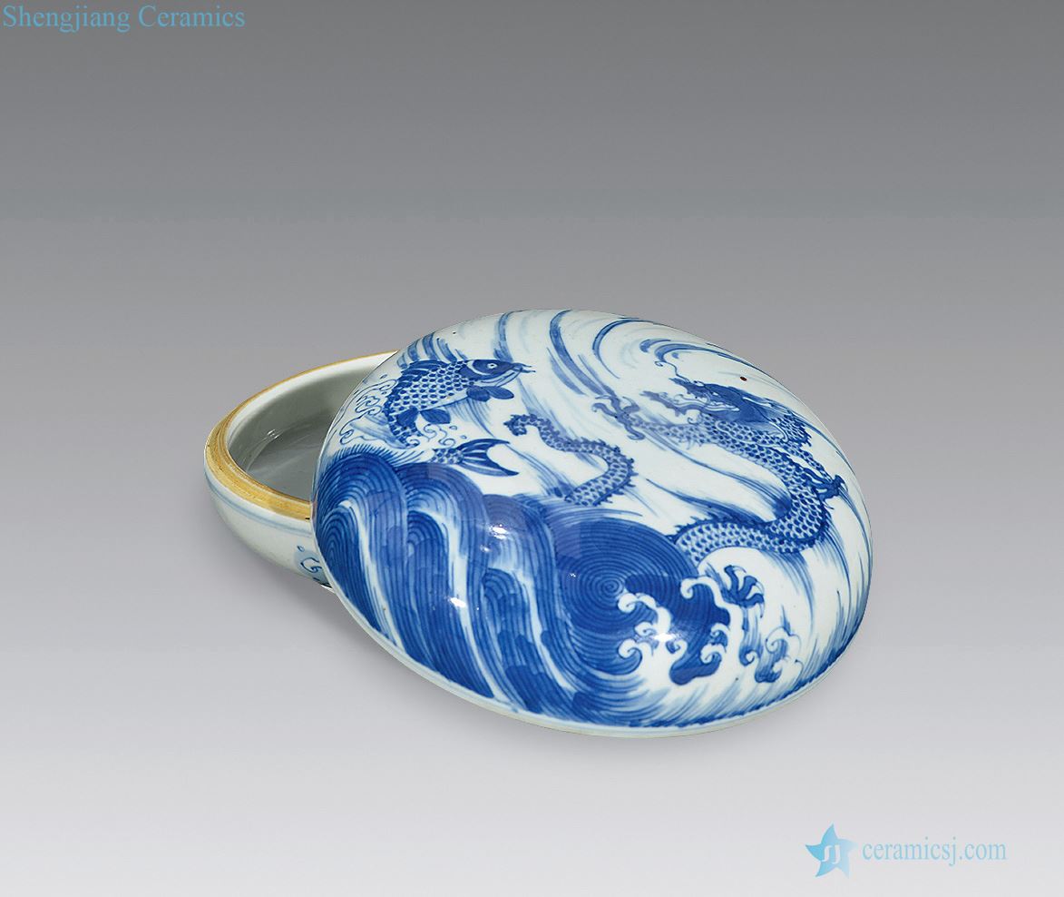 The qing emperor kangxi Blue and white fish dragon cover box
