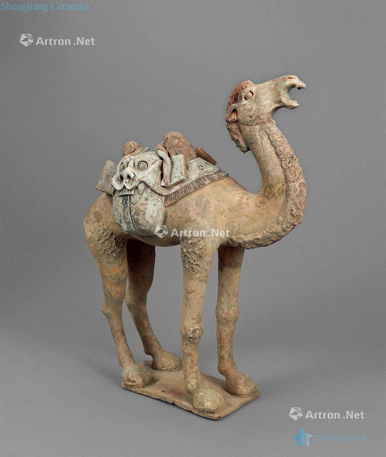 Tang dynasty pottery camel