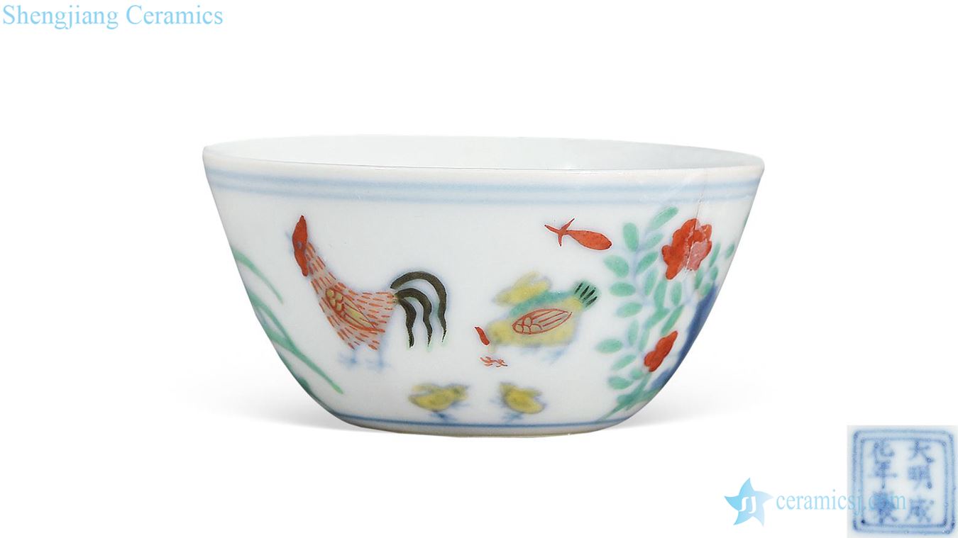 In the early qing color bucket cylinder cup chicken