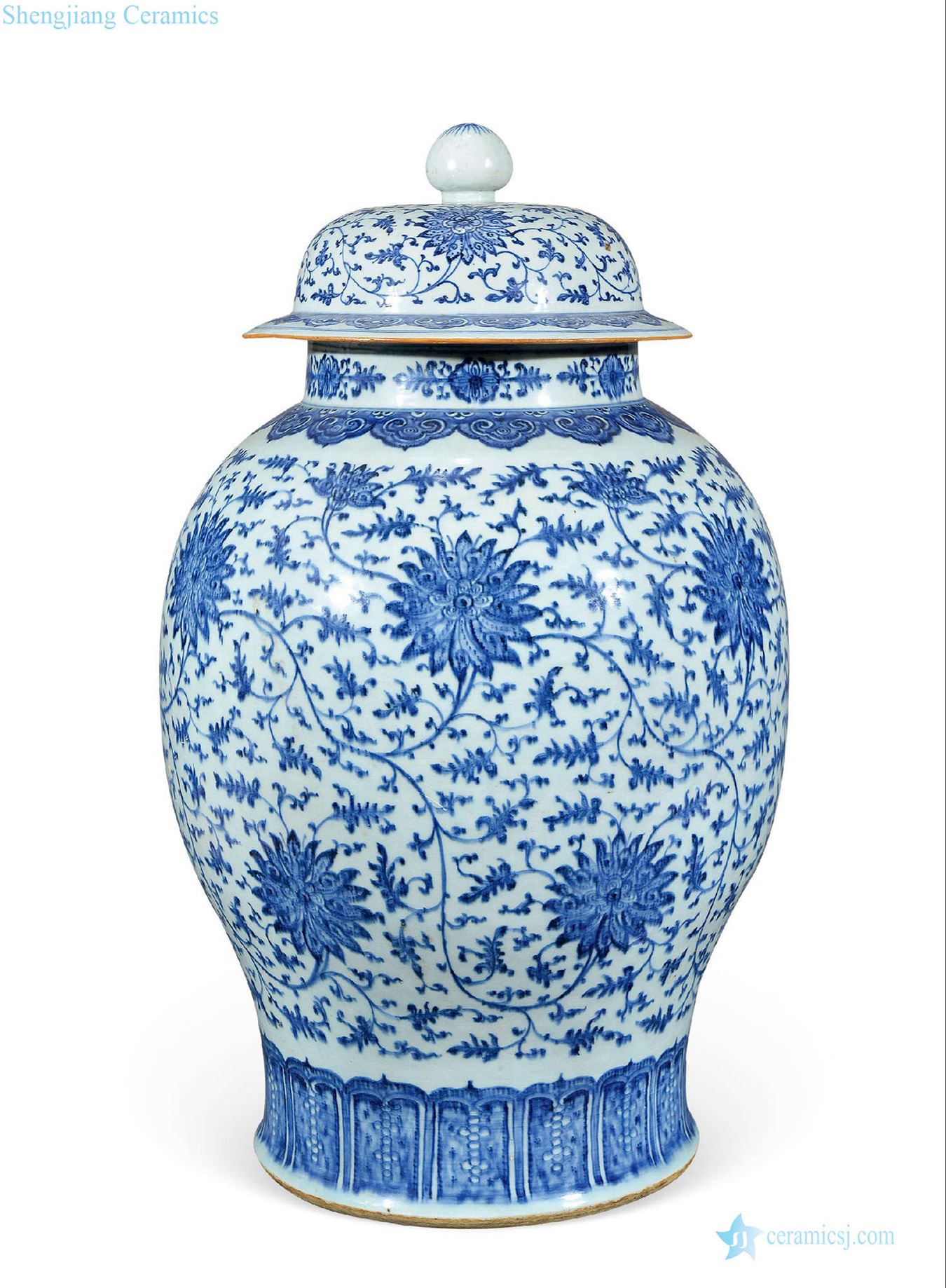 Qing qianlong Blue and white lotus flower general tank