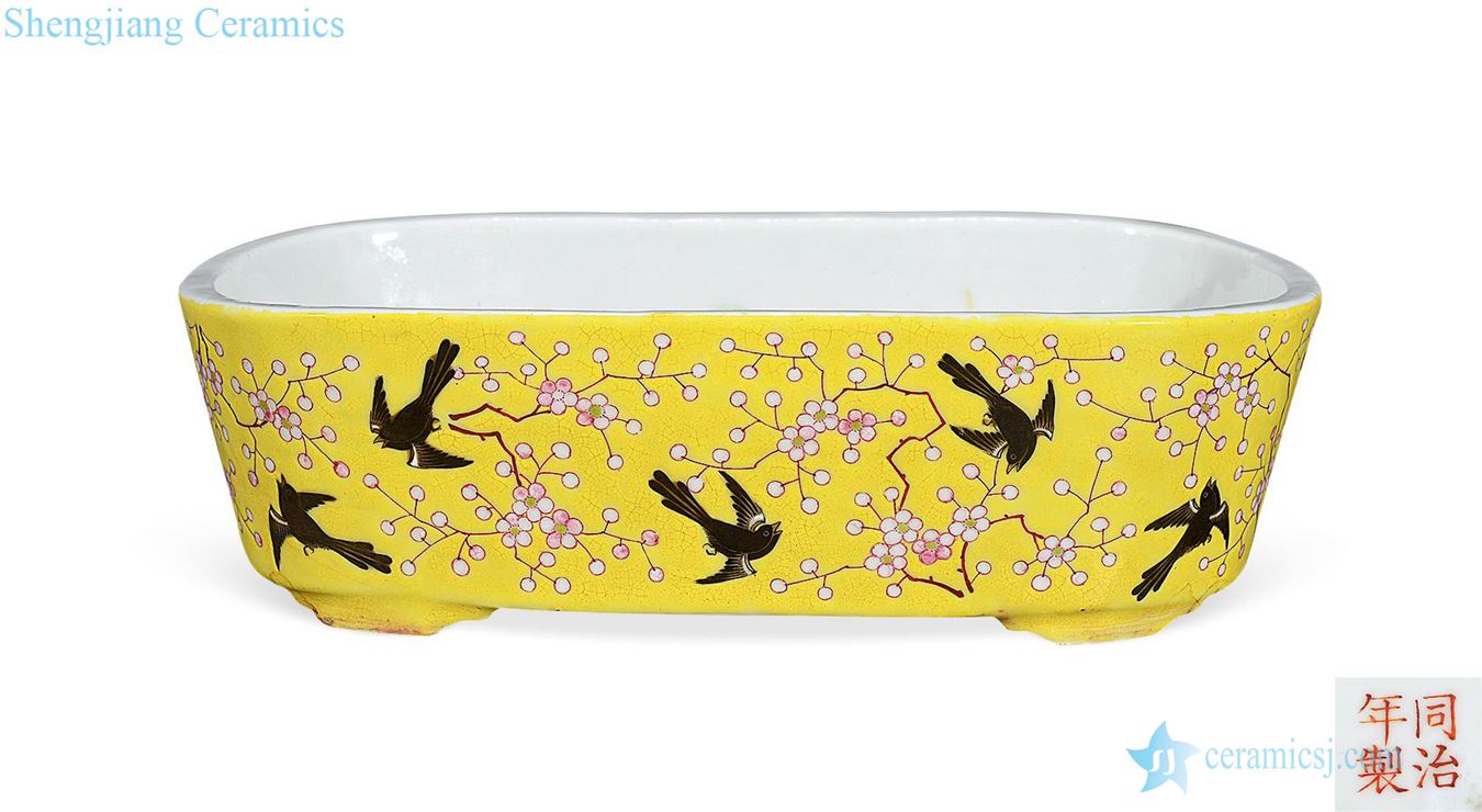dajing Yellow powder enamel magpie plum blossom narcissus basin