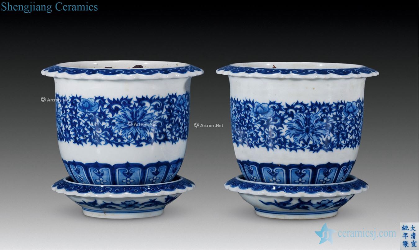 Qing xuantong Blue and white best flower POTS (a)