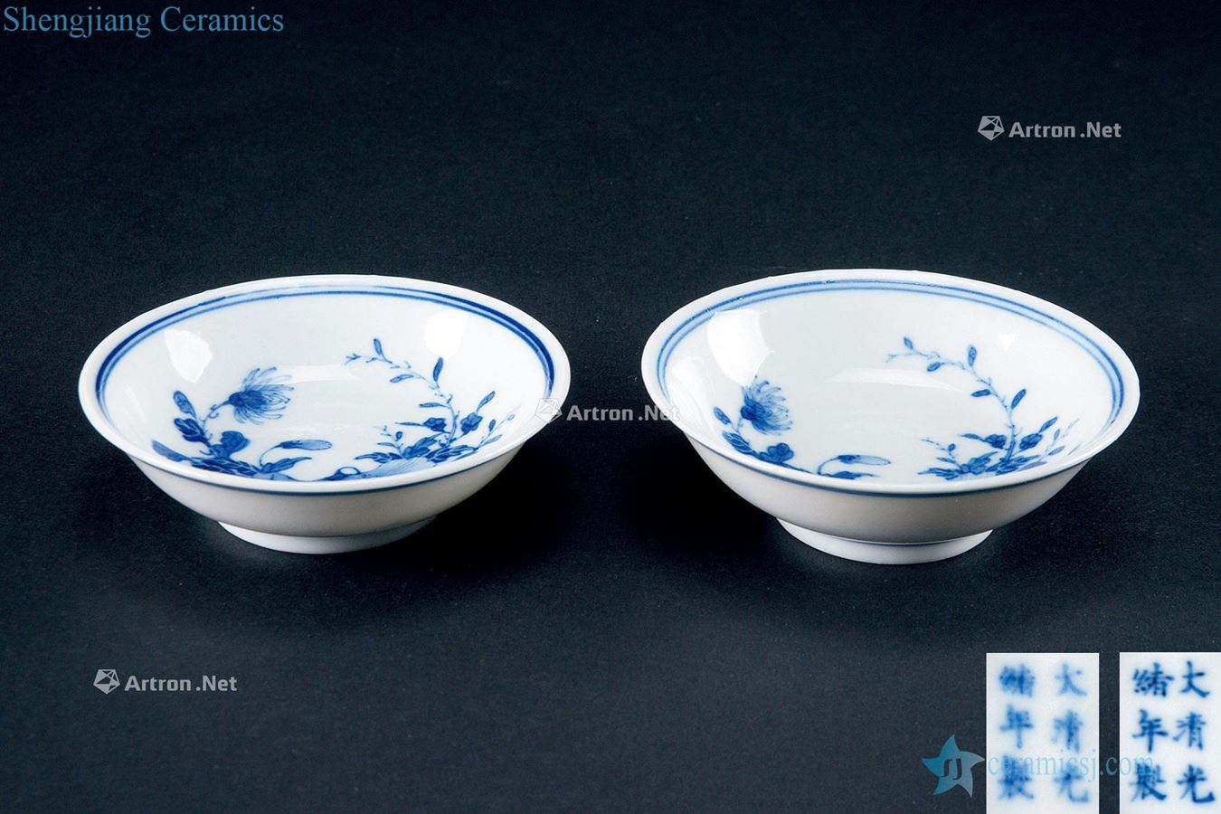 In the qing dynasty (1644-1911) blue and white flower butterfly pattern plate (a)