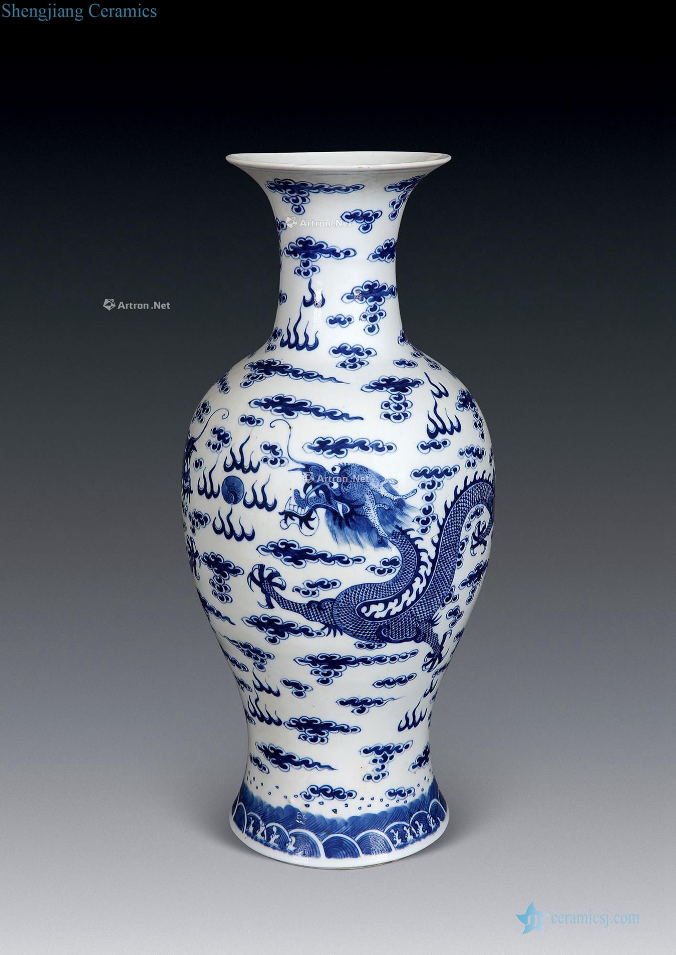 guangxu Blue and white dragon ombre bottles