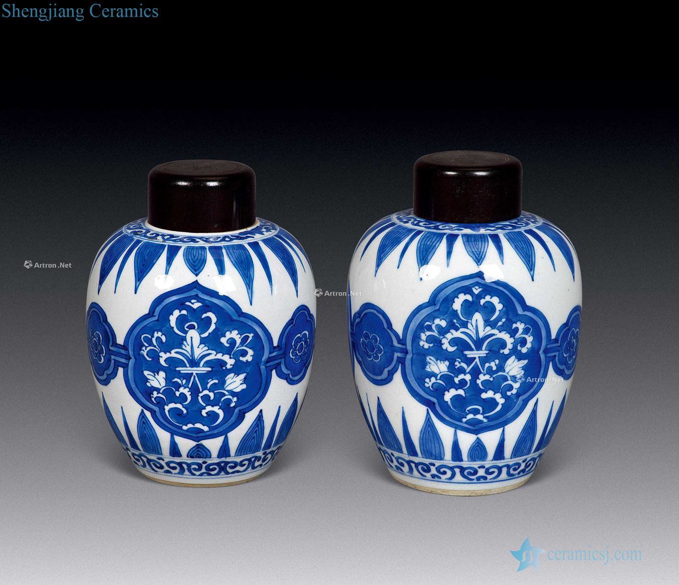In the qing dynasty Blue and white flower pot (a)