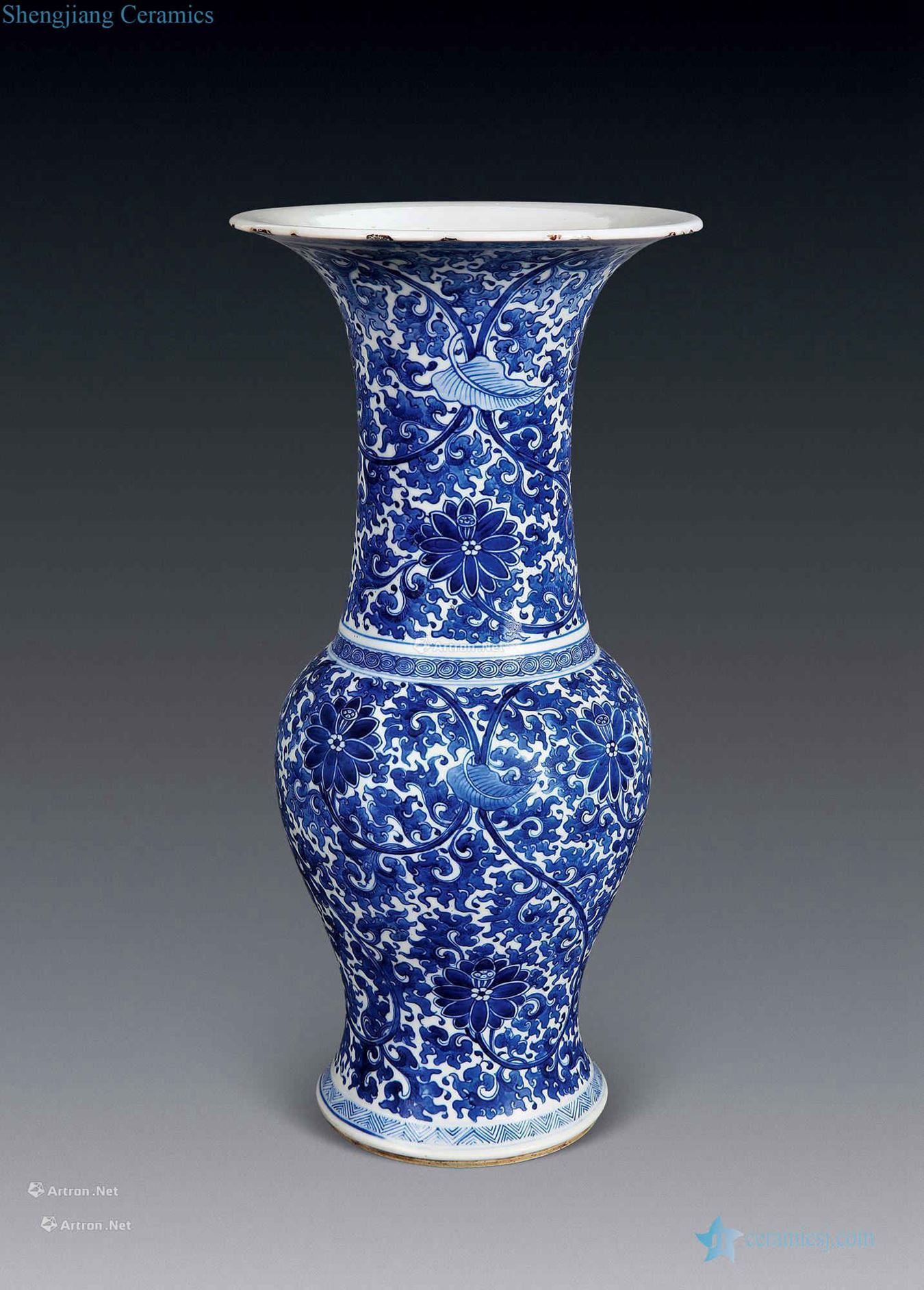In the qing dynasty Blue and white lotus flower grain PND tail-on honour