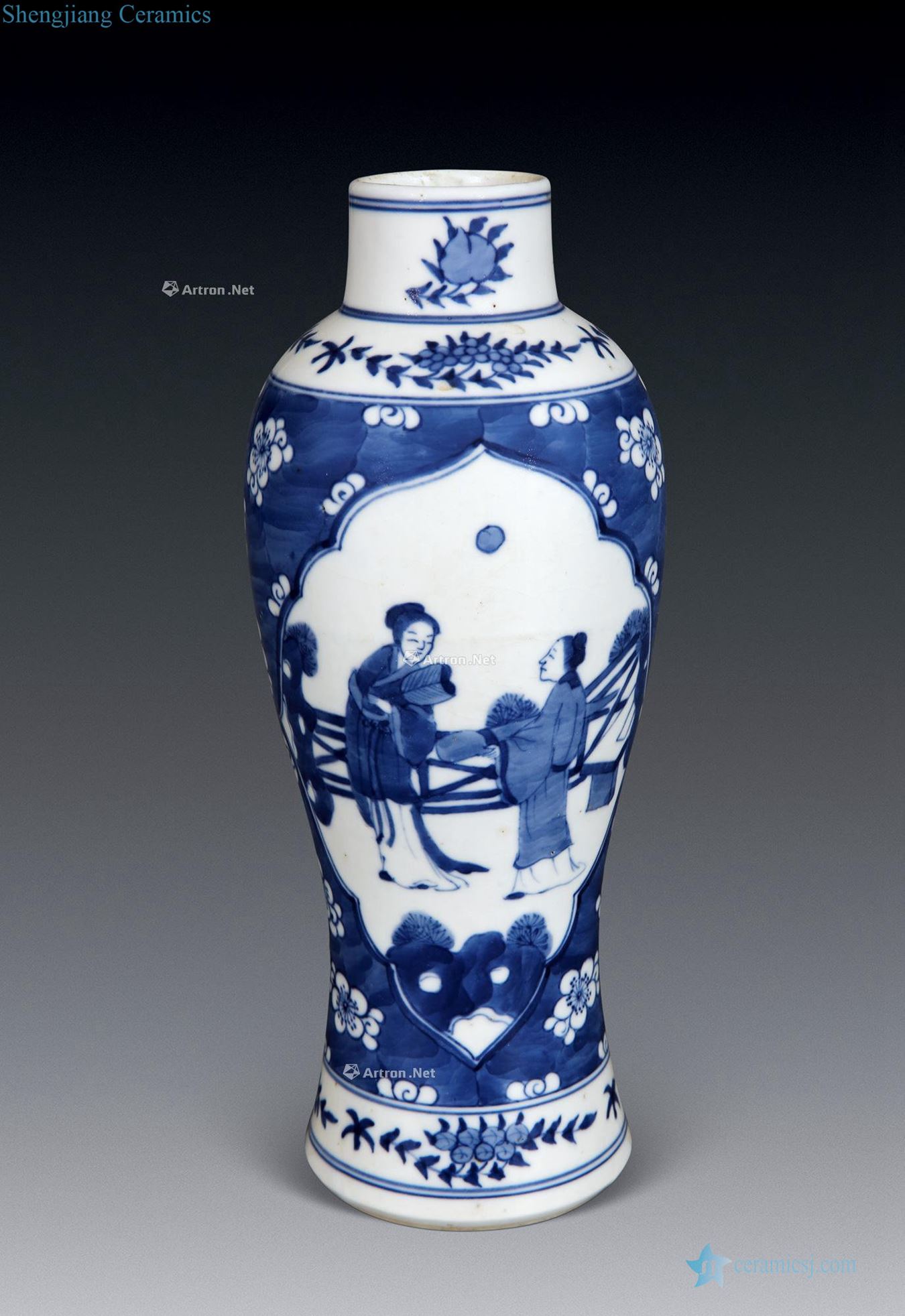 jiadao Blue and white fish bottle ice plum medallion characters