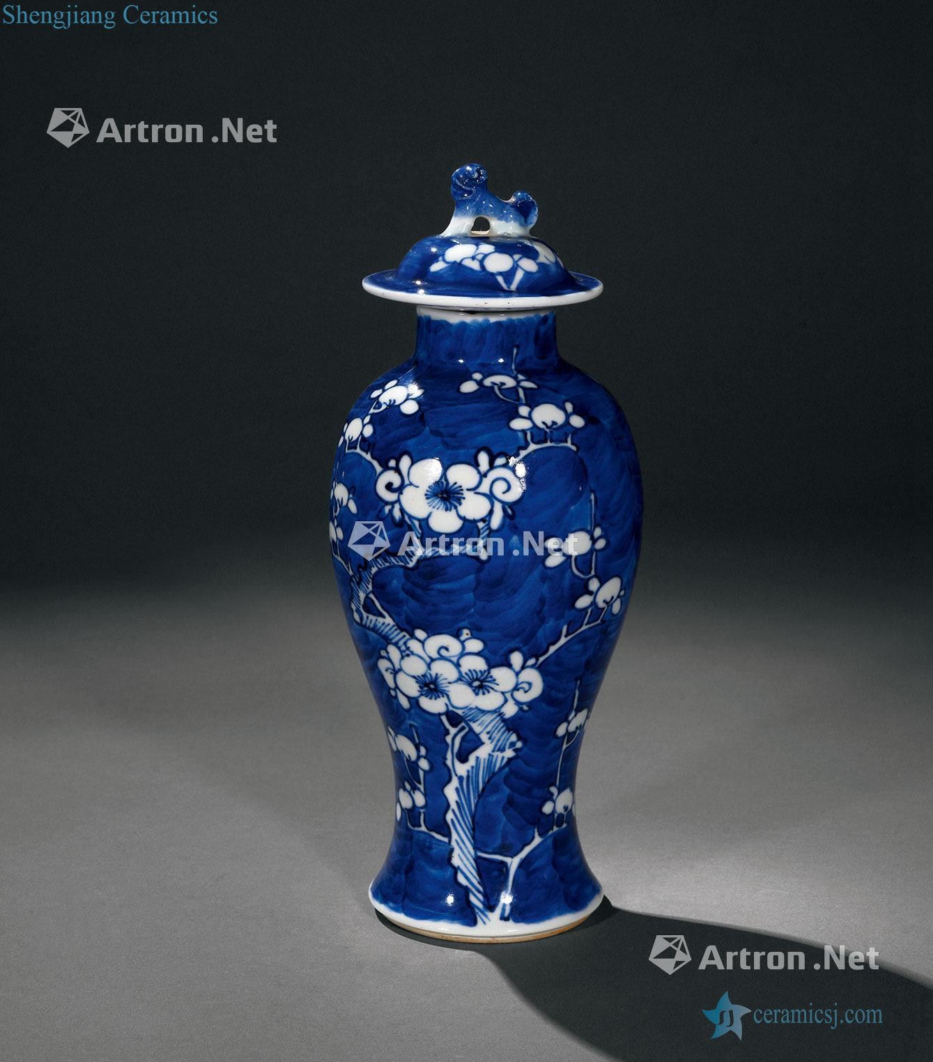 qing Blue and white ice plum chicken leg