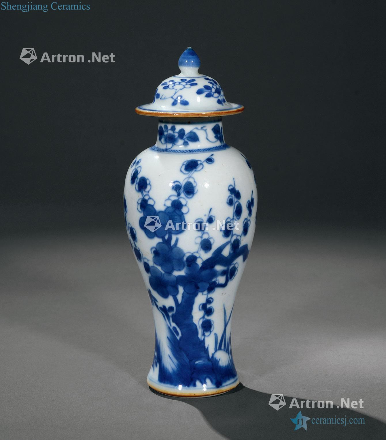 The qing emperor kangxi Blue and white flower on a chicken leg