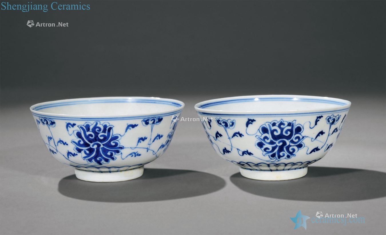 Qing guangxu Blue and white tie up lotus flower bowl (a)