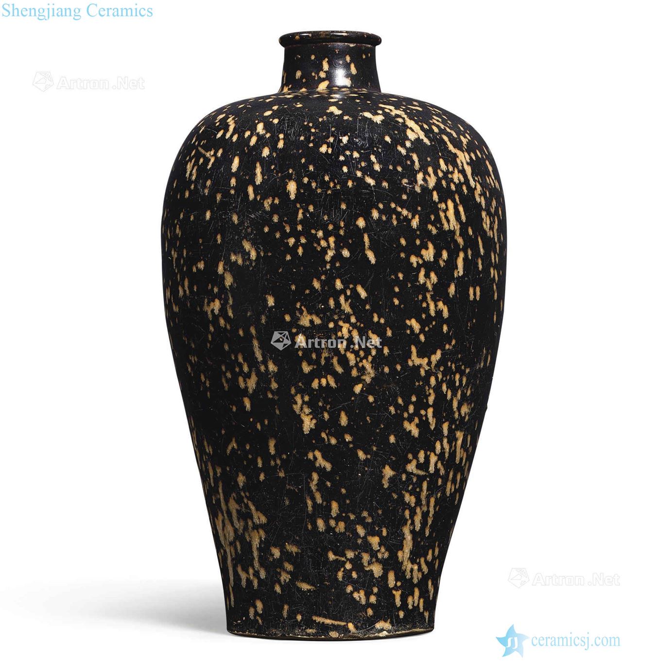 The southern song dynasty jizhou kiln partridge glaze bottle