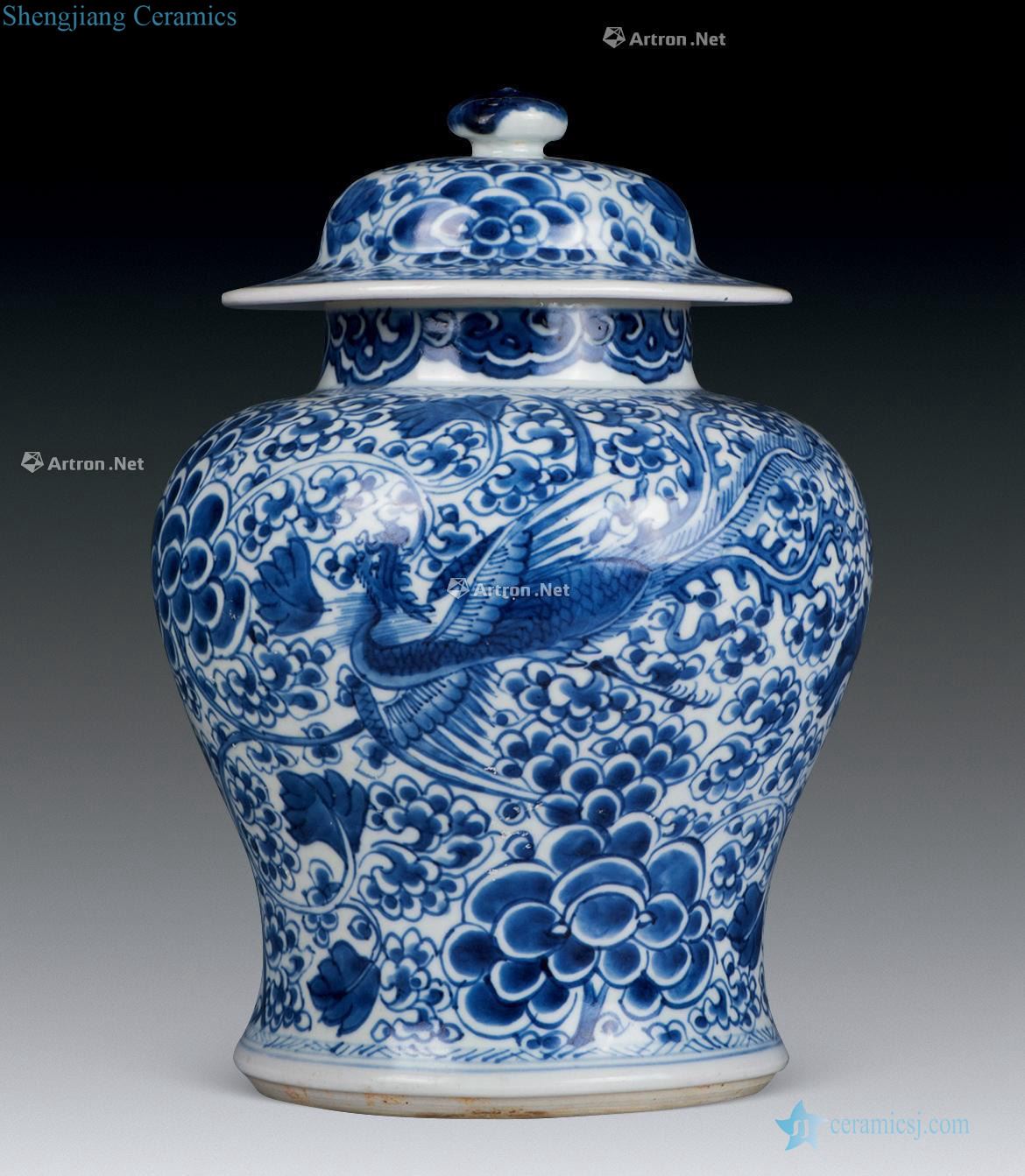 kangxi Phoenix design general blue cans