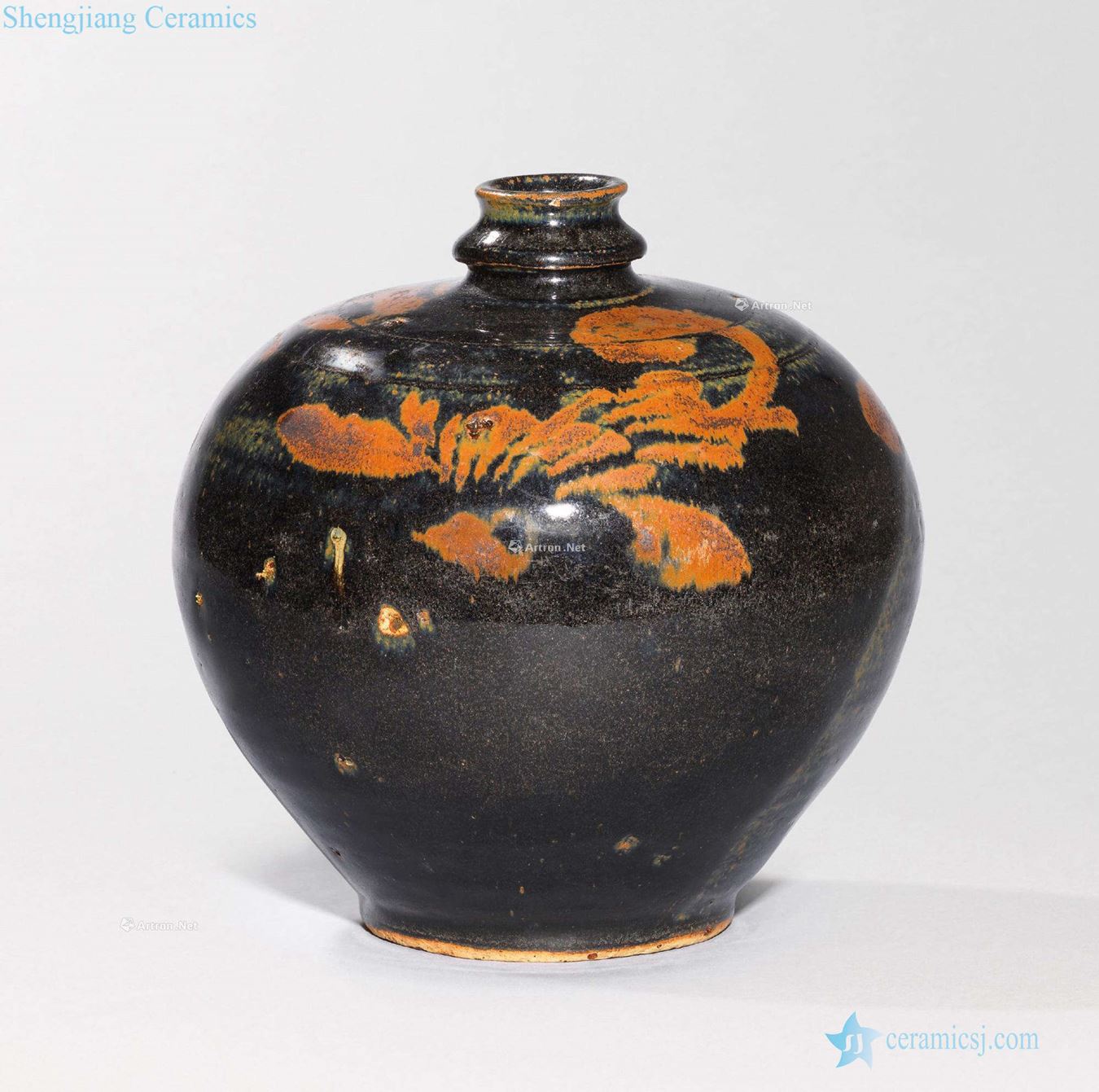 The northern song dynasty black glaze painting bird patterns bottle iron rust stain