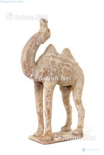 Tang pottery camel coloured drawing or pattern