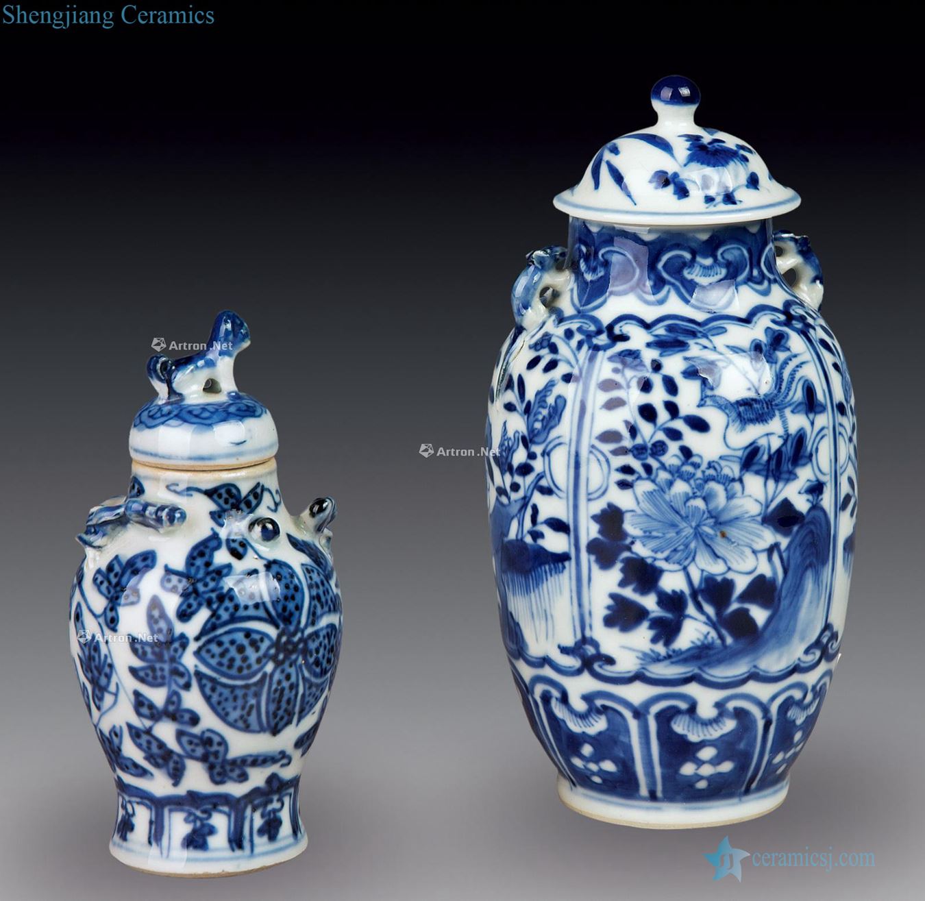 qing Blue and white lotus seed tank (two)
