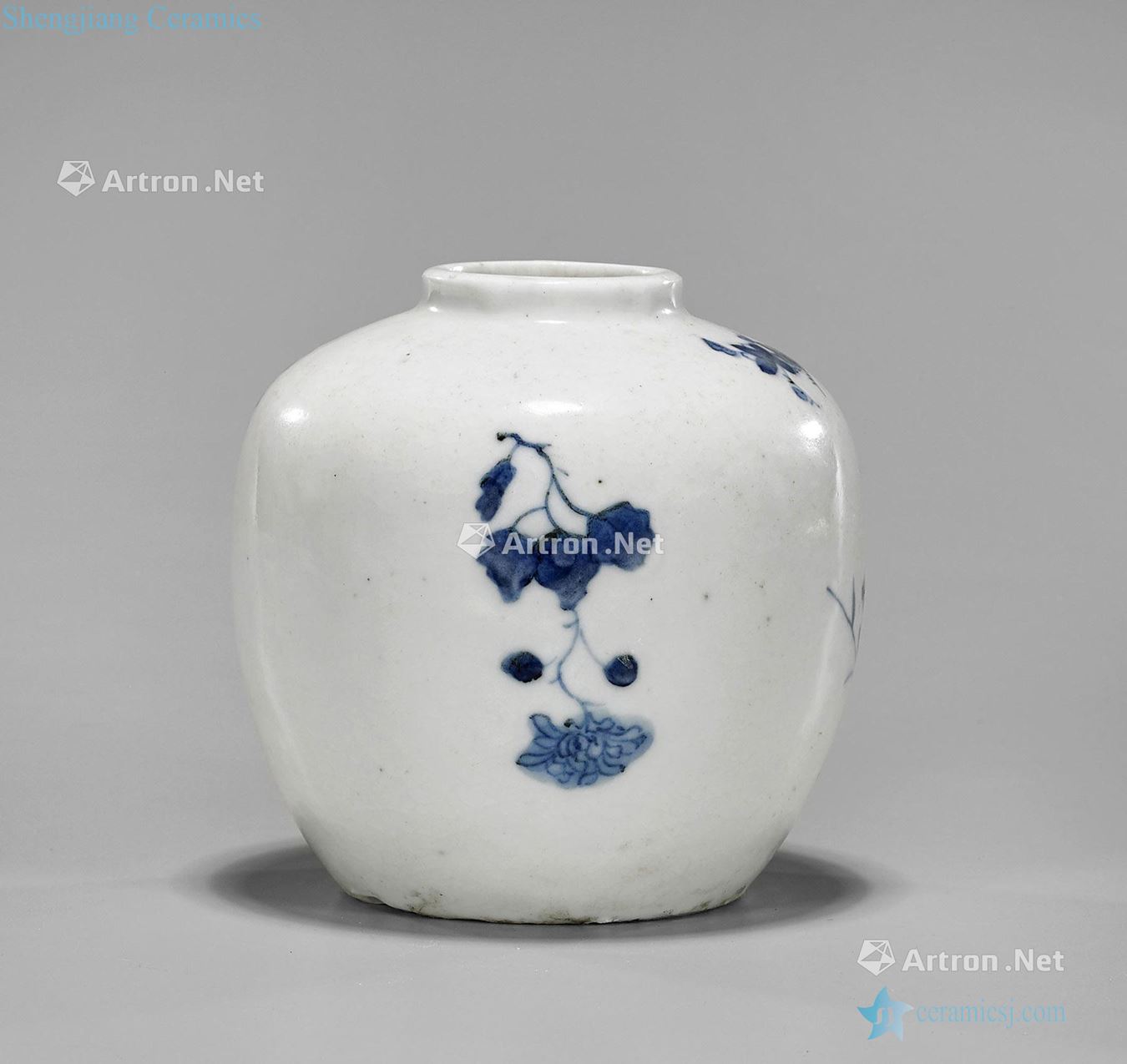 qing Painting of flowers and grain porcelain jar