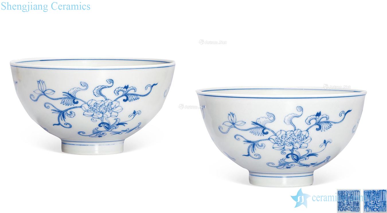 Qing daoguang Blue and white flowers light tracing lines bowl (a)