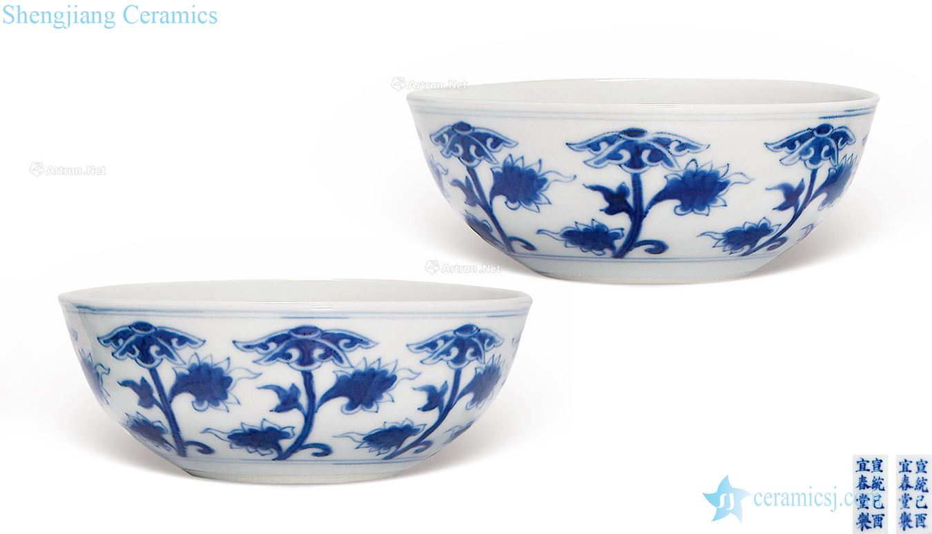 Qing xuantong Blue and white tie up branch lotus green-splashed bowls (a)
