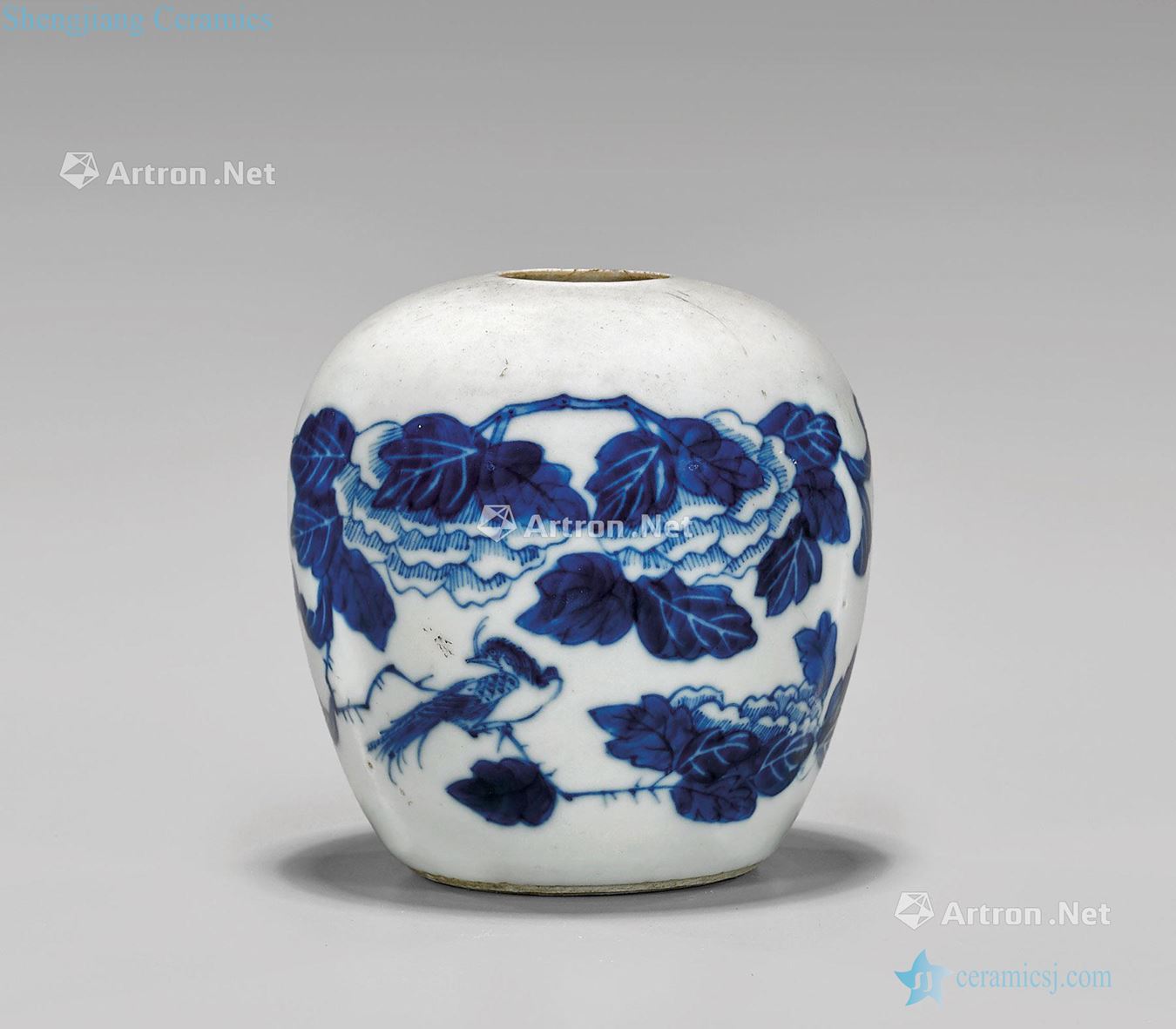 qing Blue and white pot of flowers and birds