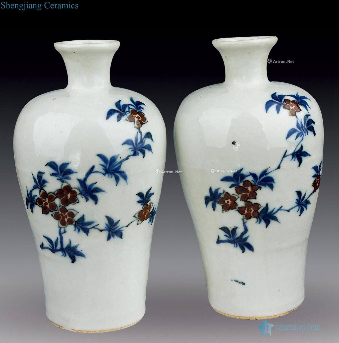 Ming Blue and white youligong hong mei bottle (a)