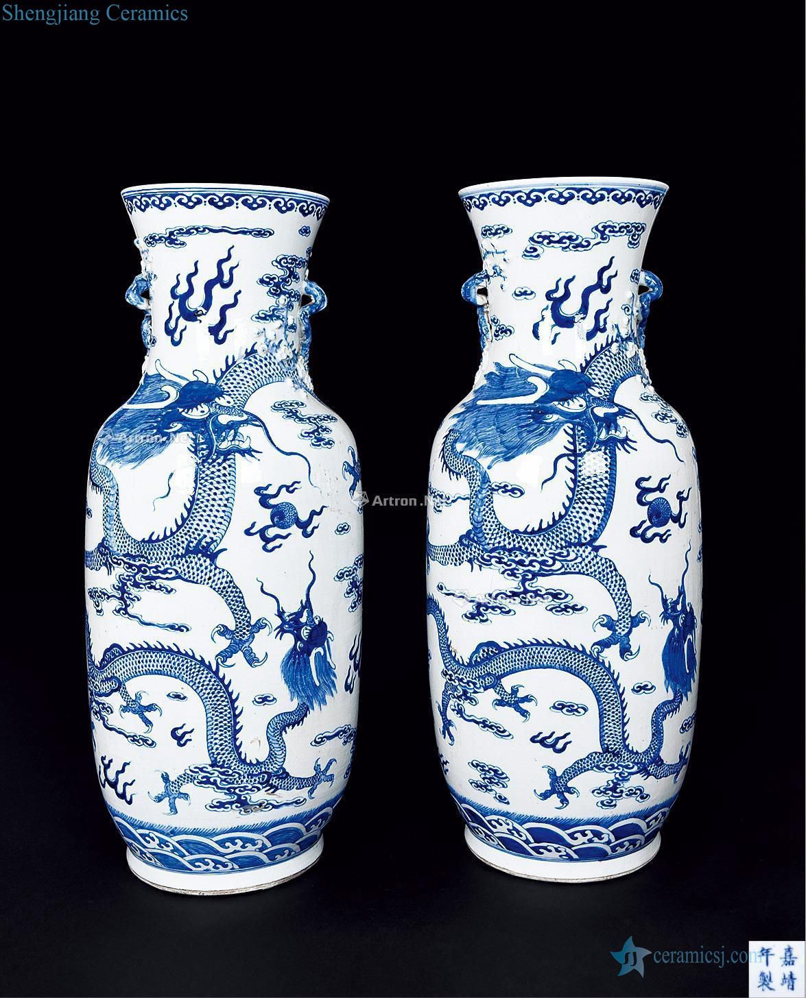 Qing guangxu Blue and white dragon large bottle