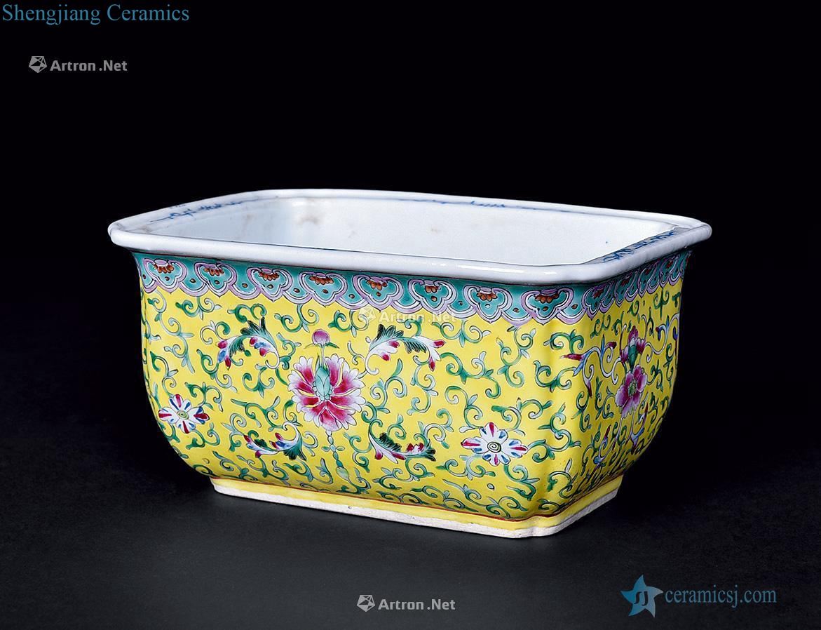 Qing guangxu To pastel yellow lotus design lines flowerpot