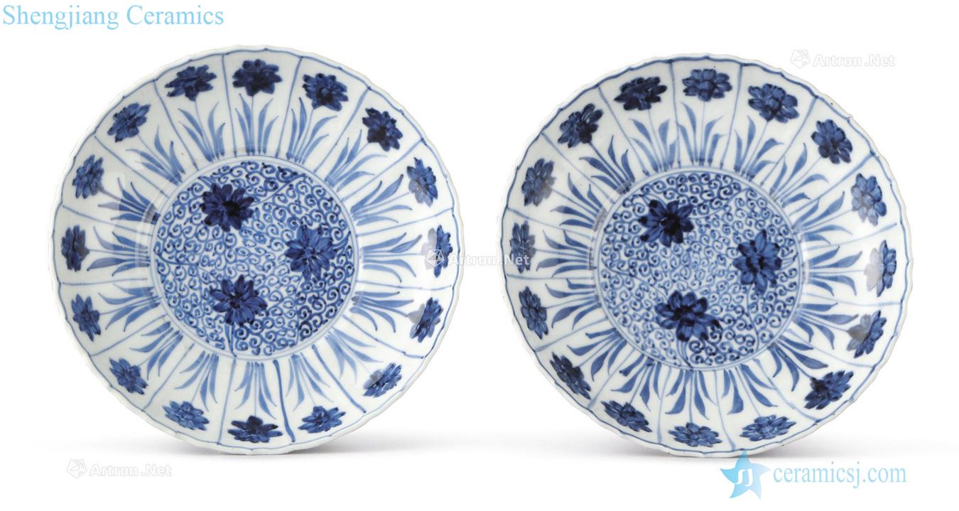 The qing emperor kangxi Blue and white asters grain swash plate (a)