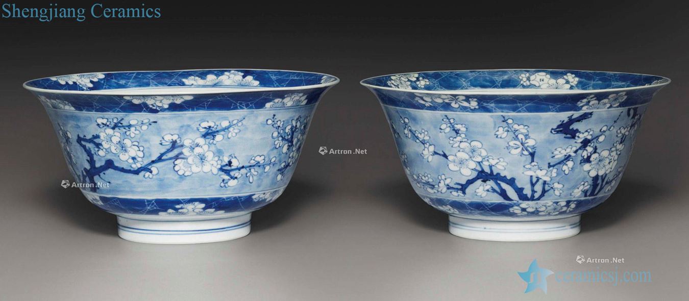 KANGXI PERIOD (1662 ~ 1722), A PAIR OF BLUE AND WHITE BOWLS