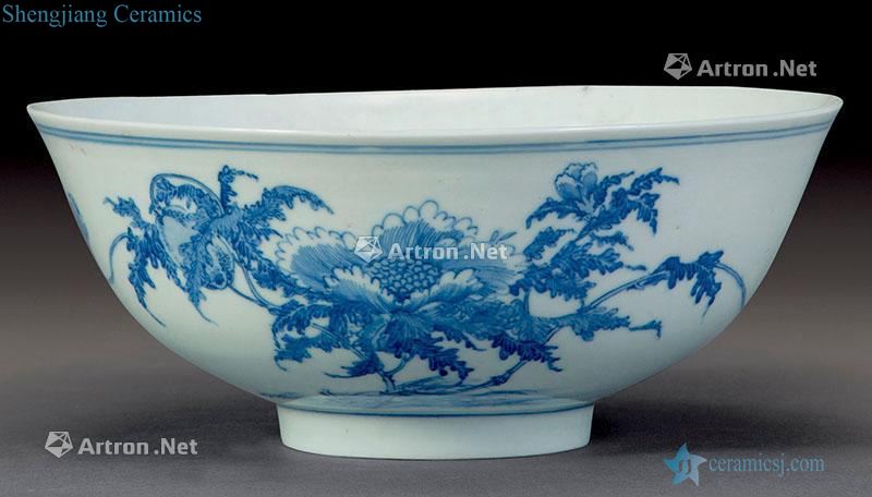 Qing guangxu Blue and white flower bowls