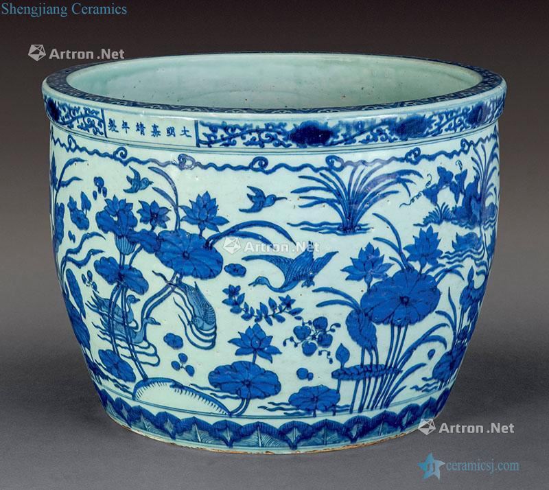 In the early qing Blue and white fish grain big crock