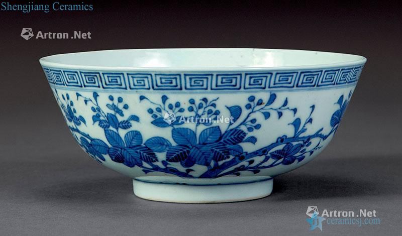 Qing guangxu Blue and white flower bowl