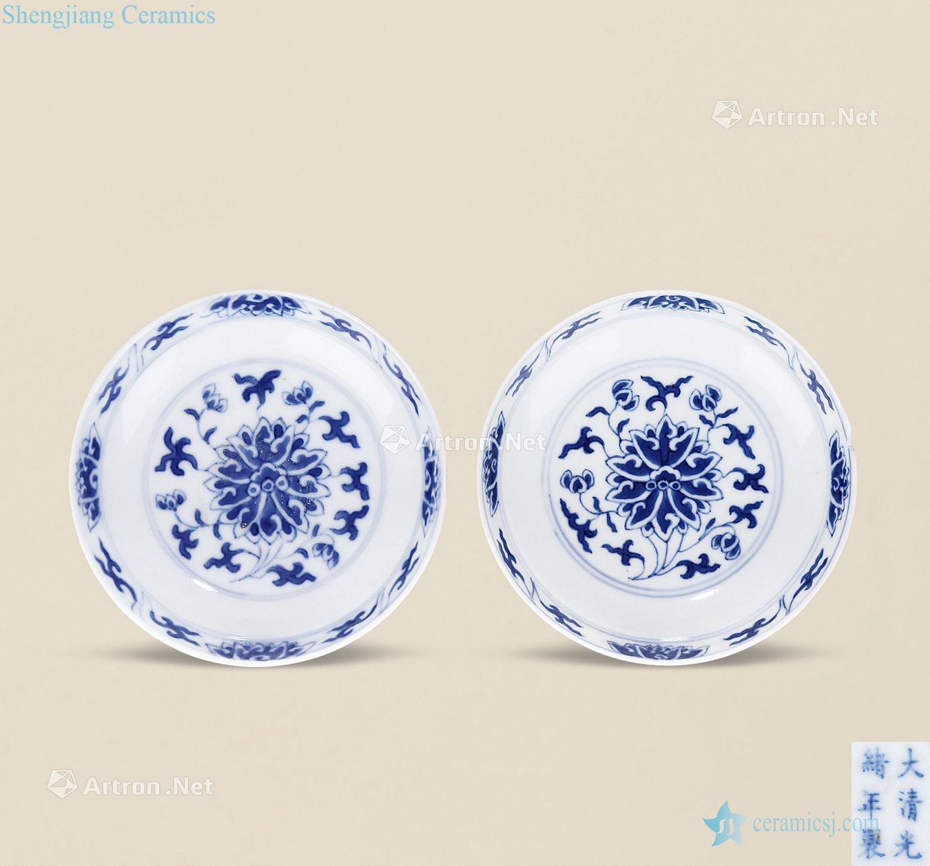 Qing guangxu Blue and white lotus design tray (a)